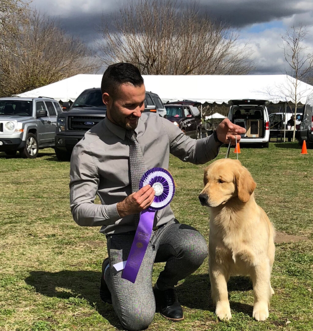 A man kneeling next to a golden retriever with a purple ribbon.