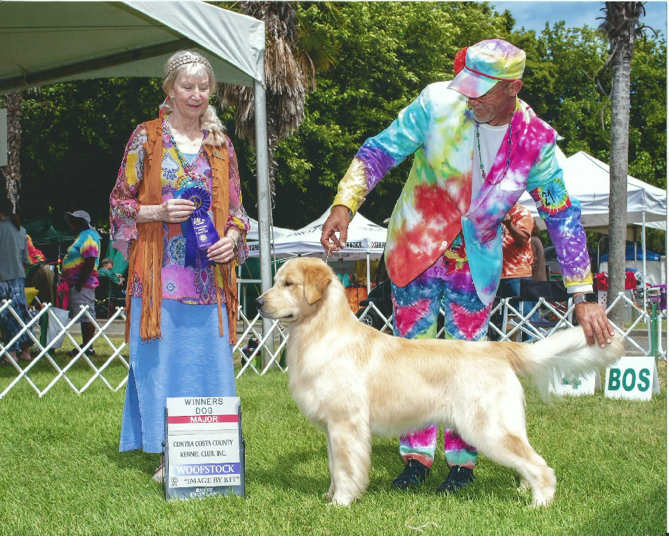 A man and woman standing next to a golden retriever at a dog show.