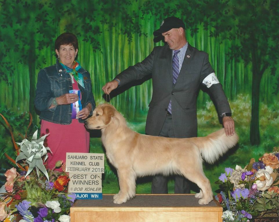 A man and woman standing next to a golden retriever at a show.