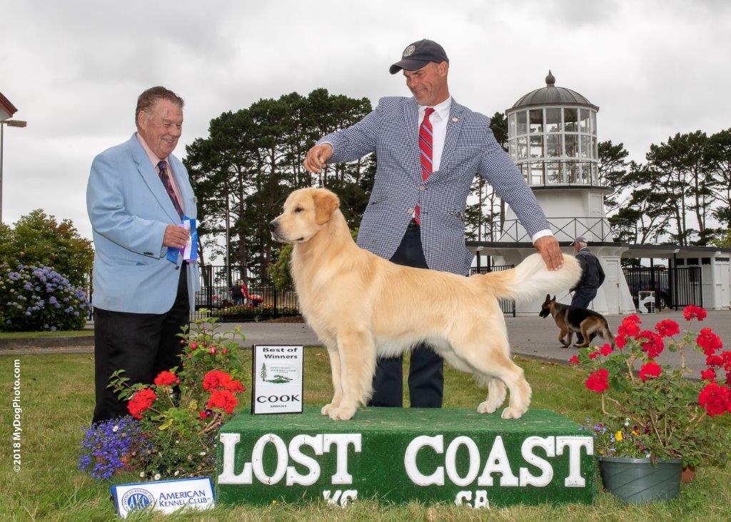 Two men standing next to a golden retriever in front of a lighthouse.