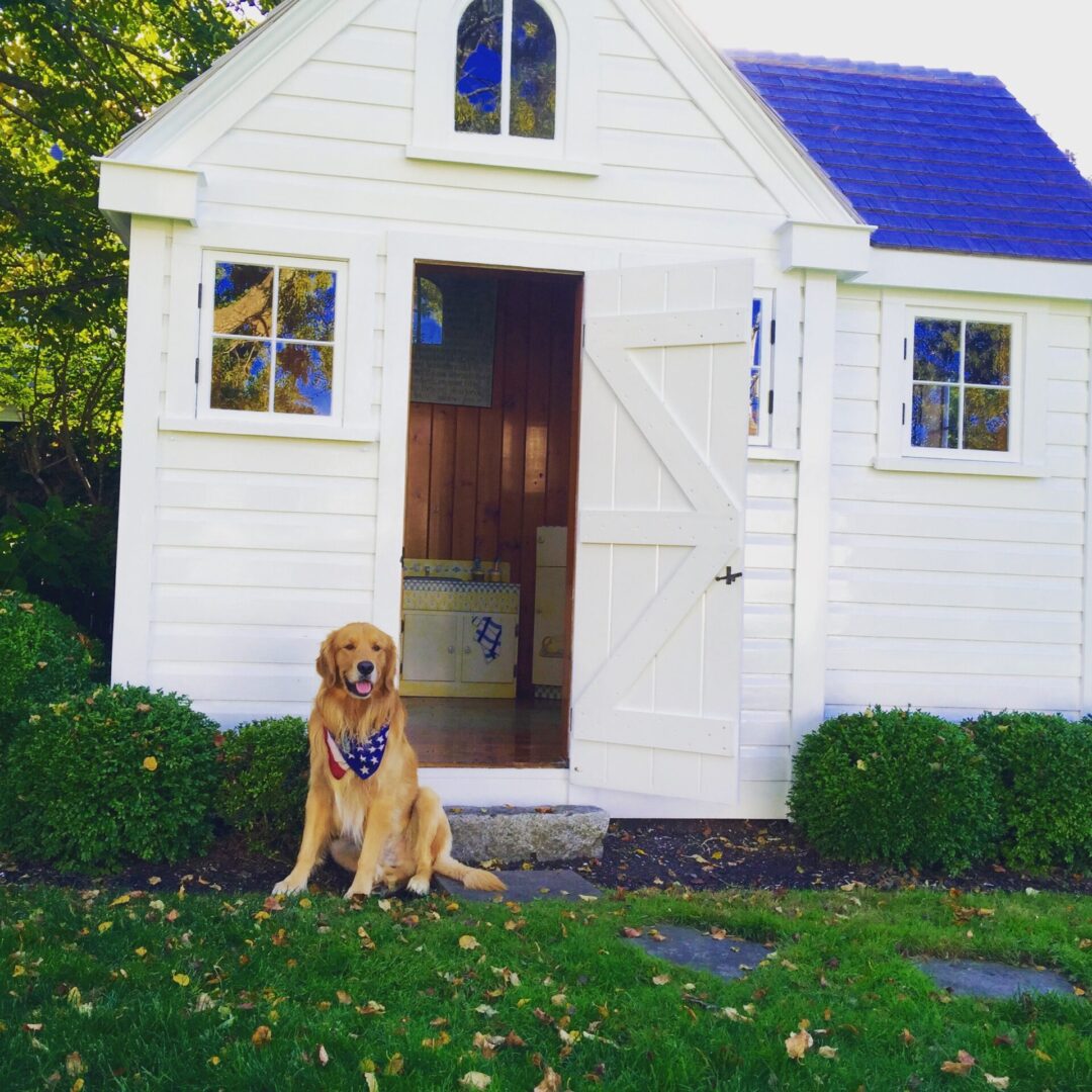 An Adult Dog In Front Of House One