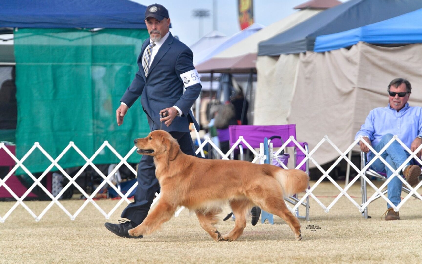 A man in a suit walking a golden retriever at a dog show.