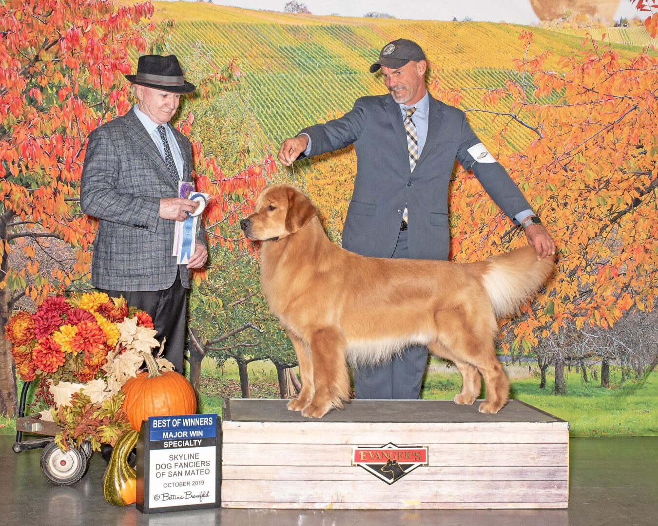 Two men standing next to a golden retriever on a stage.