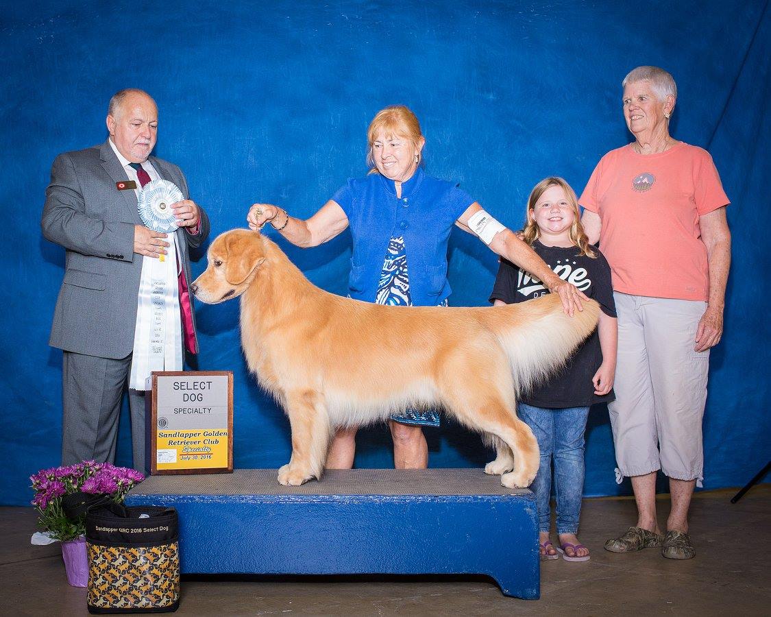 A group of people posing with a golden retriever.